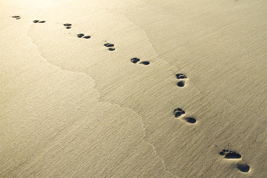 footprints
